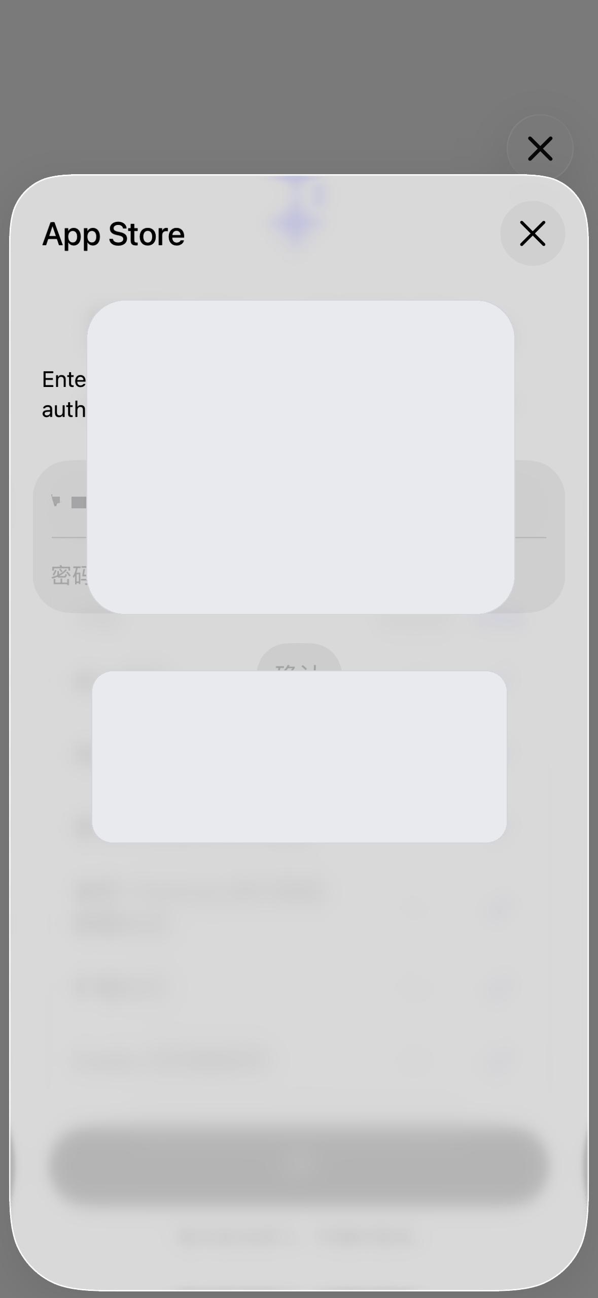 App Store 输入密码确认支付
